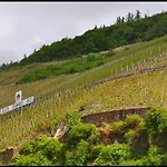 Bed & Breakfast Adelheid Moselhype&wine Zell an der Mosel