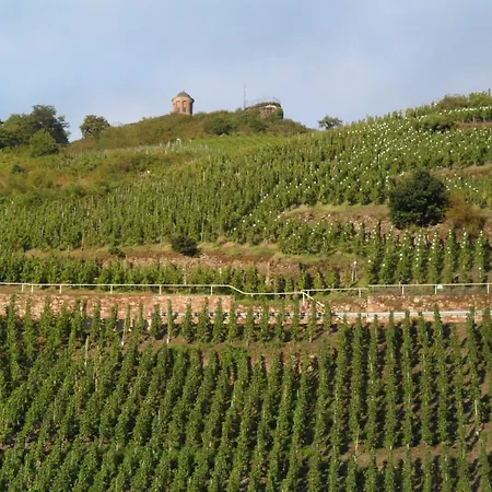 Alojamento de Acomodação e Pequeno-almoço Adelheid Moselhype&wine Zell an der Mosel