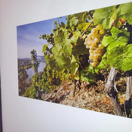 Alojamento de Acomodação e Pequeno-almoço Adelheid Moselhype&wine Zell an der Mosel