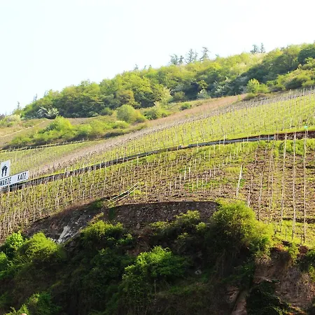 Adelheid Moselhype&wine Alojamento de Acomodação e Pequeno-almoço Zell an der Mosel