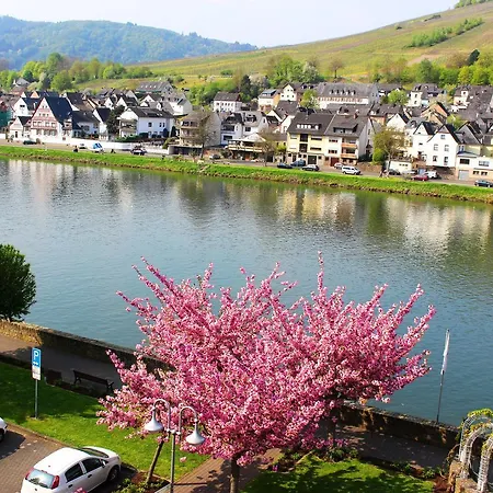 Adelheid Moselhype&wine Alojamento de Acomodação e Pequeno-almoço Zell an der Mosel