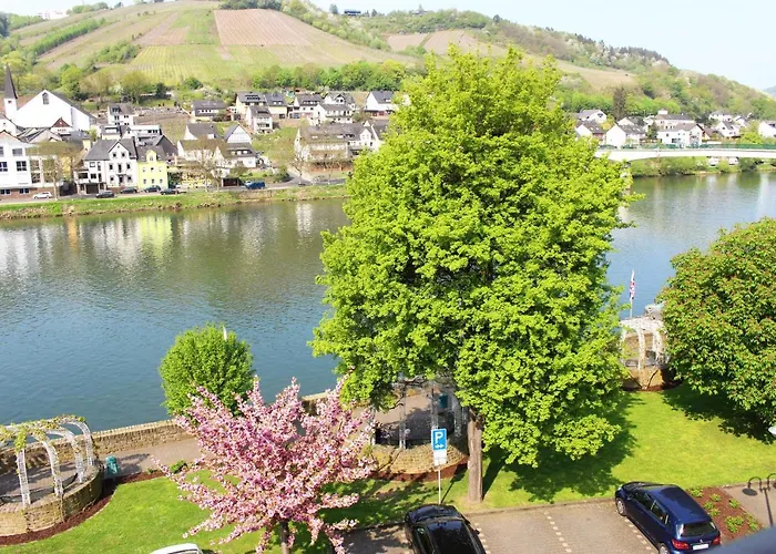 Alojamento de Acomodação e Pequeno-almoço Adelheid Moselhype&wine 3*