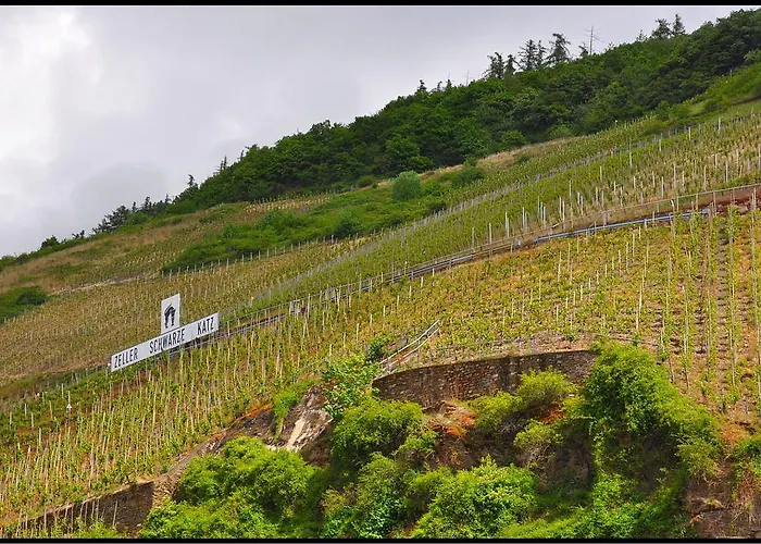 住宿加早餐酒店 Adelheid Moselhype&wine 摩泽尔河畔的泽尔