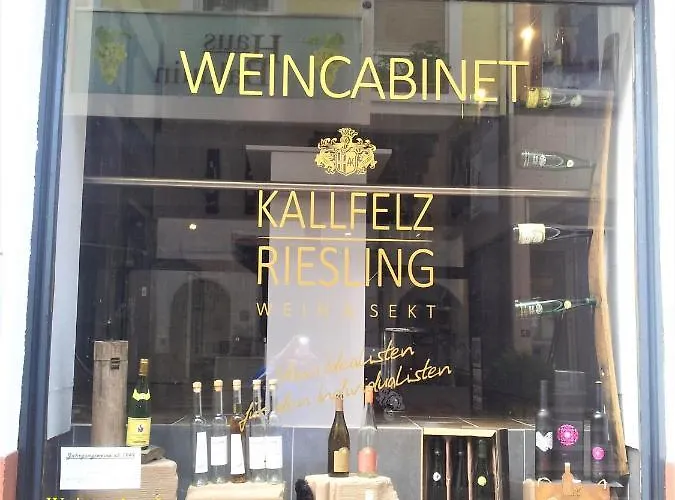 Adelheid Moselhype&wine 住宿加早餐酒店 3*