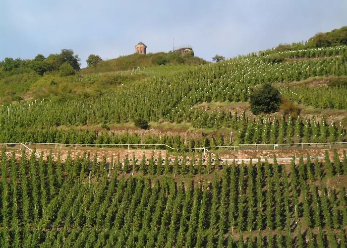 Alojamento de Acomodação e Pequeno-almoço Adelheid Moselhype&wine Zell an der Mosel