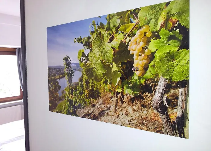 Alojamento de Acomodação e Pequeno-almoço Adelheid Moselhype&wine Zell an der Mosel