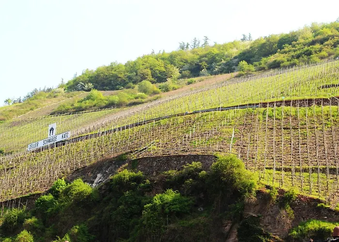 Adelheid Moselhype&wine Alojamento de Acomodação e Pequeno-almoço Zell an der Mosel