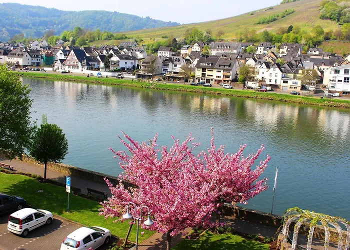 Adelheid Moselhype&wine Alojamento de Acomodação e Pequeno-almoço Zell an der Mosel